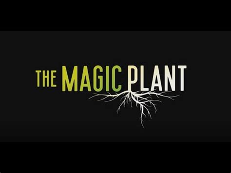 The Symbolism of the Magic Plant in Art and Literature
